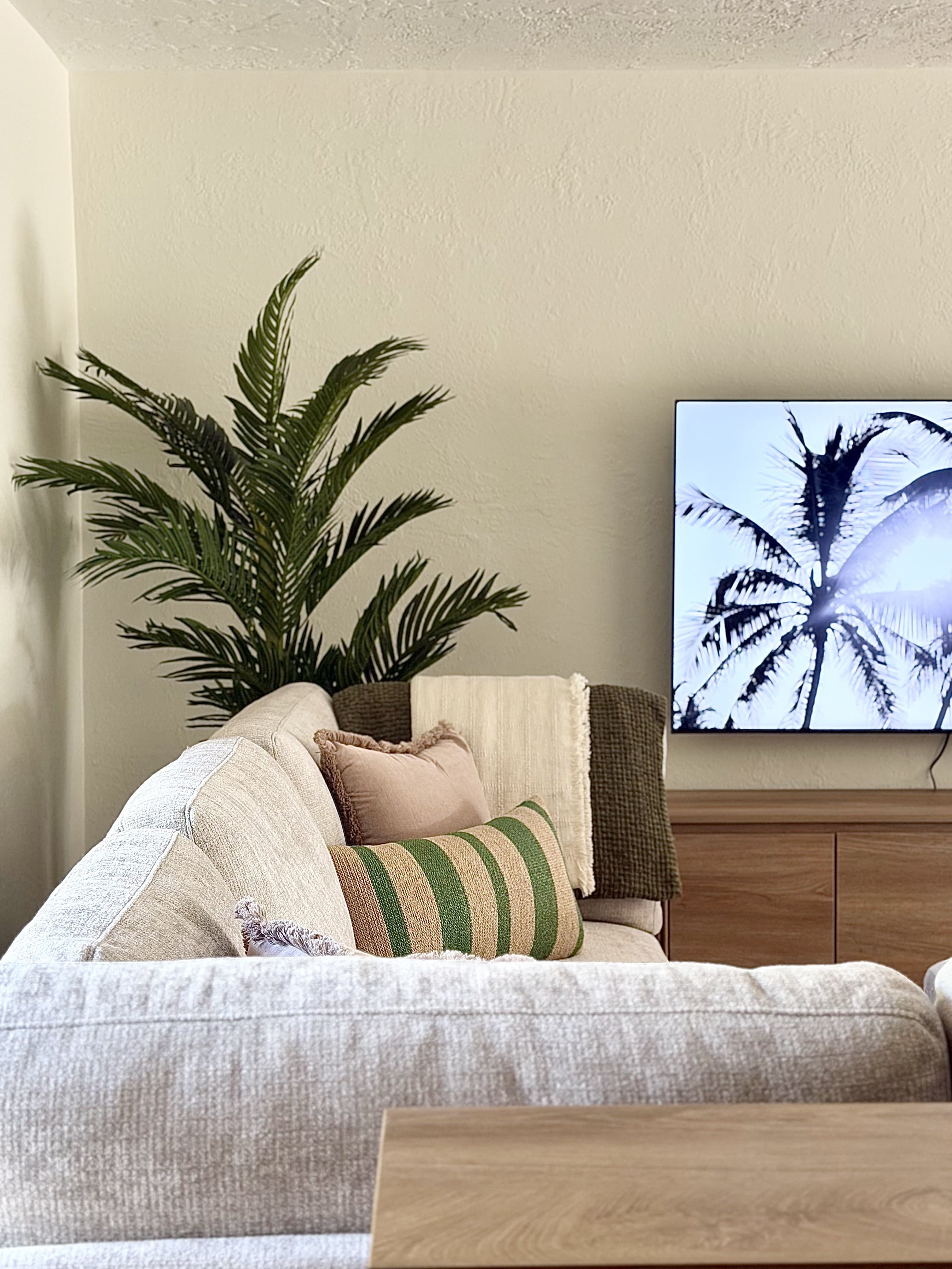 Palm & Tide living room