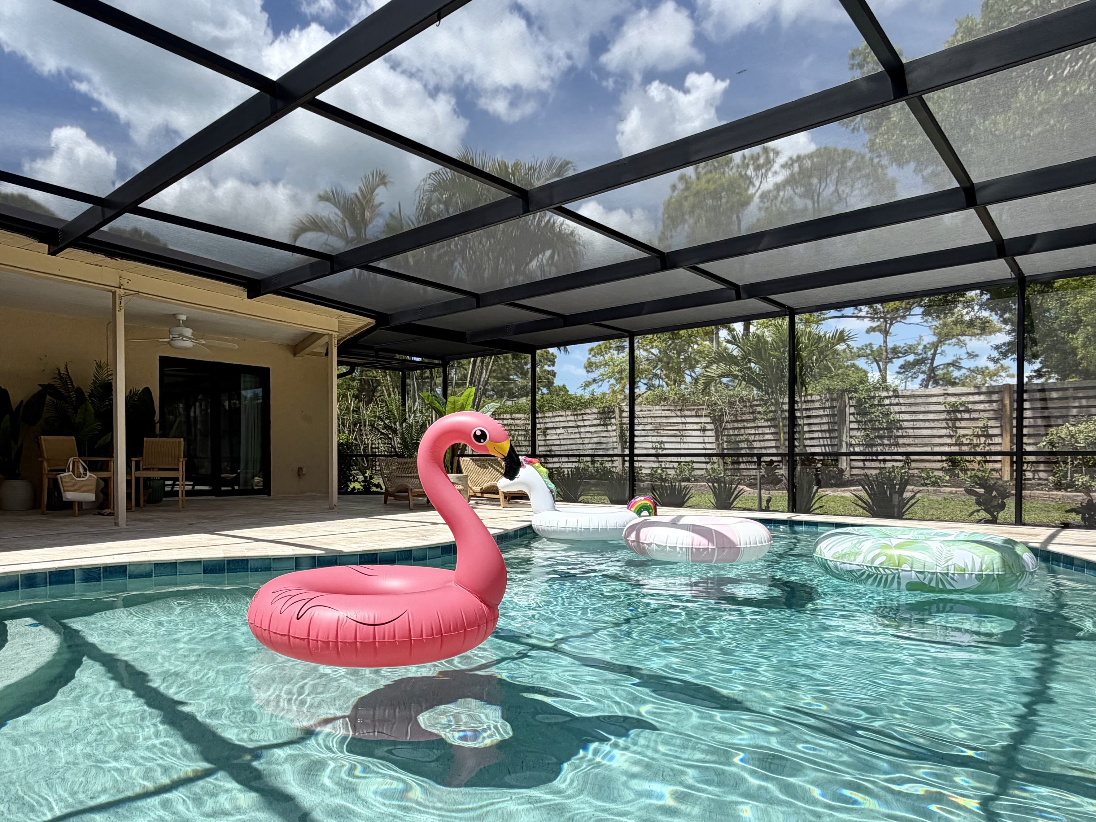 pool with flamingo floats on a sunny day